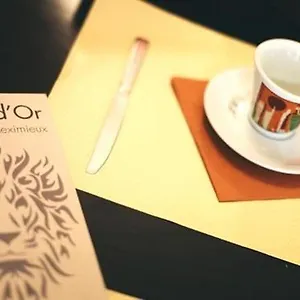 Hotel Brasserie Le Lion D'Or Meximieux